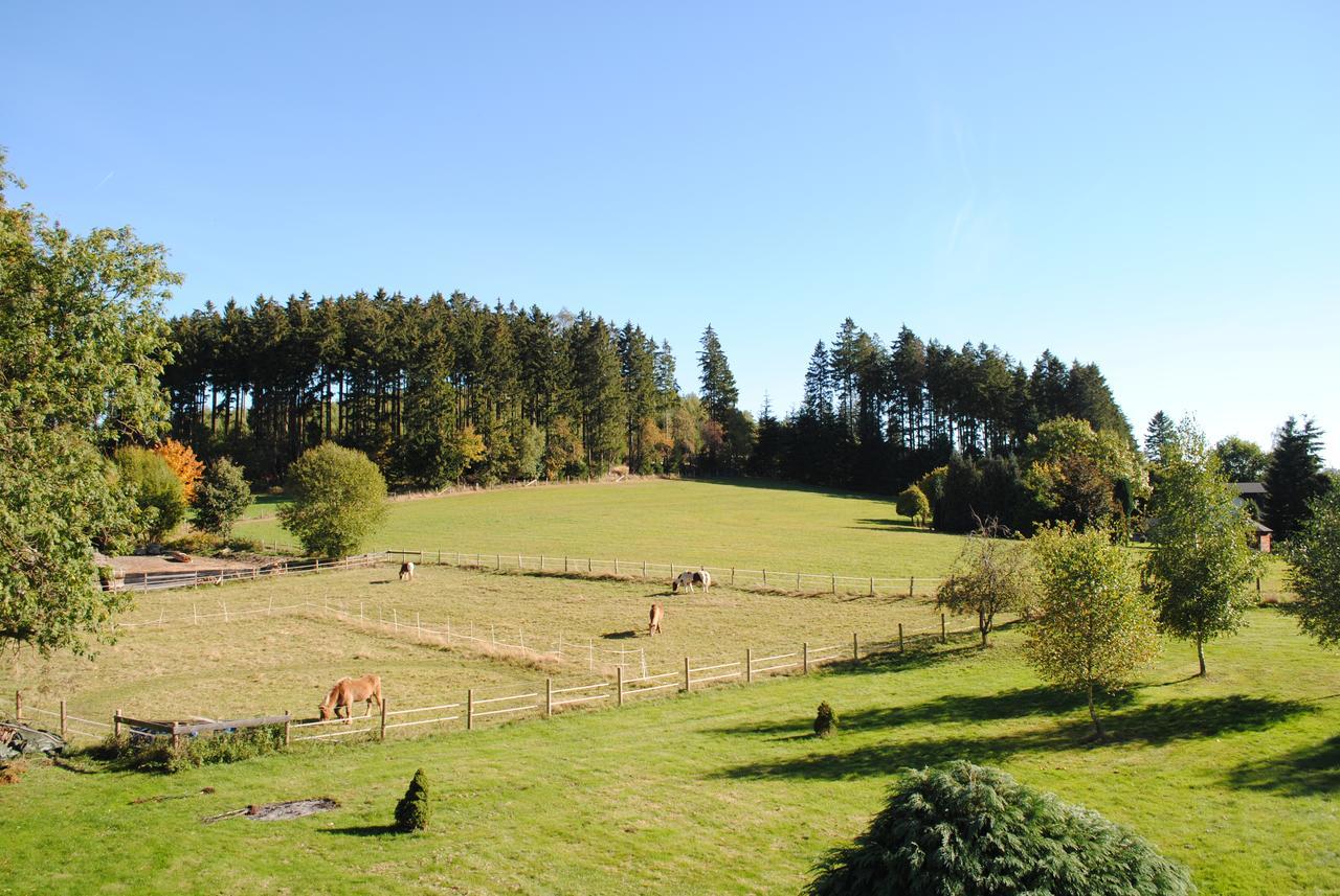 Landgasthof Gruss Brilon Exteriör bild