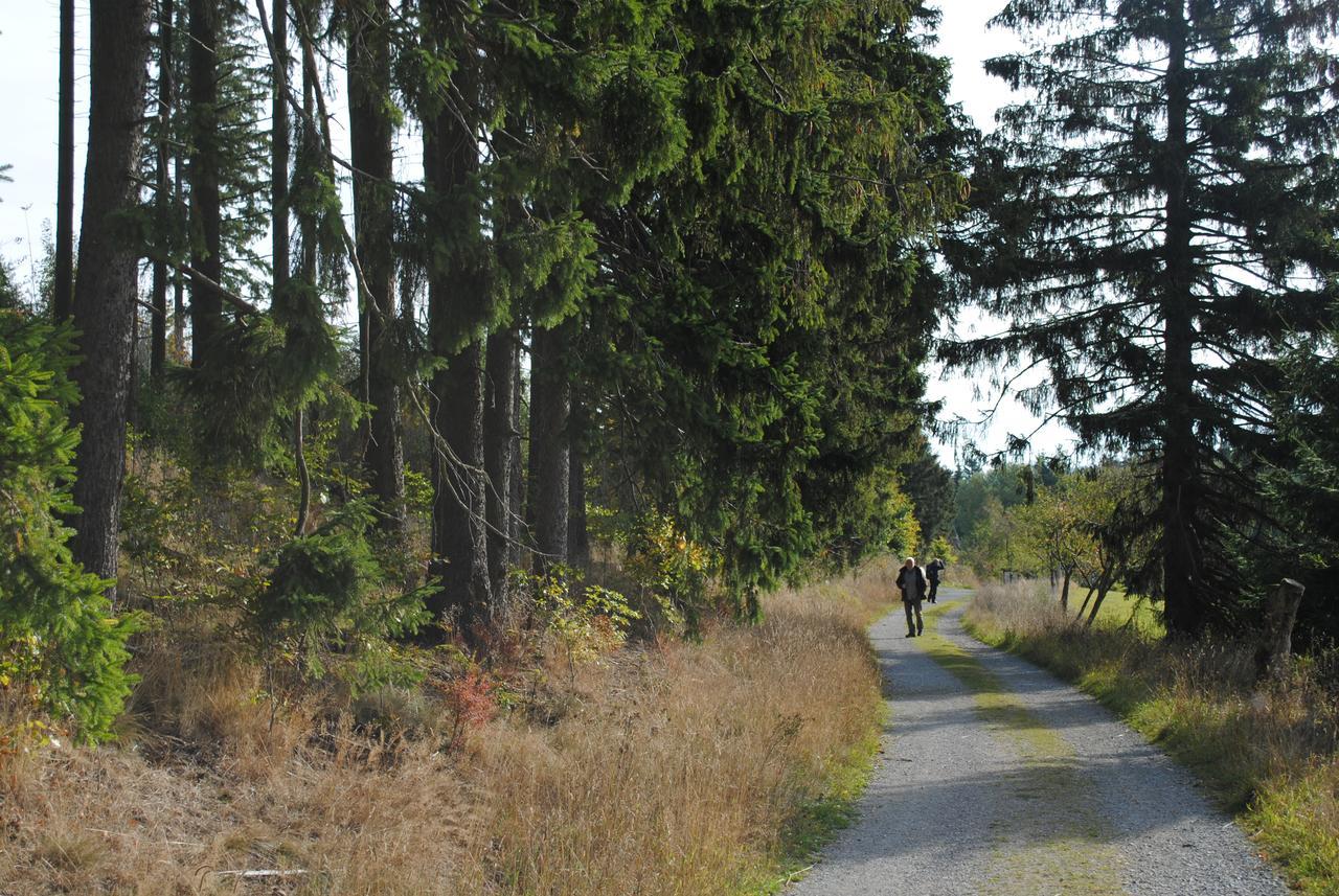 Landgasthof Gruss Brilon Exteriör bild