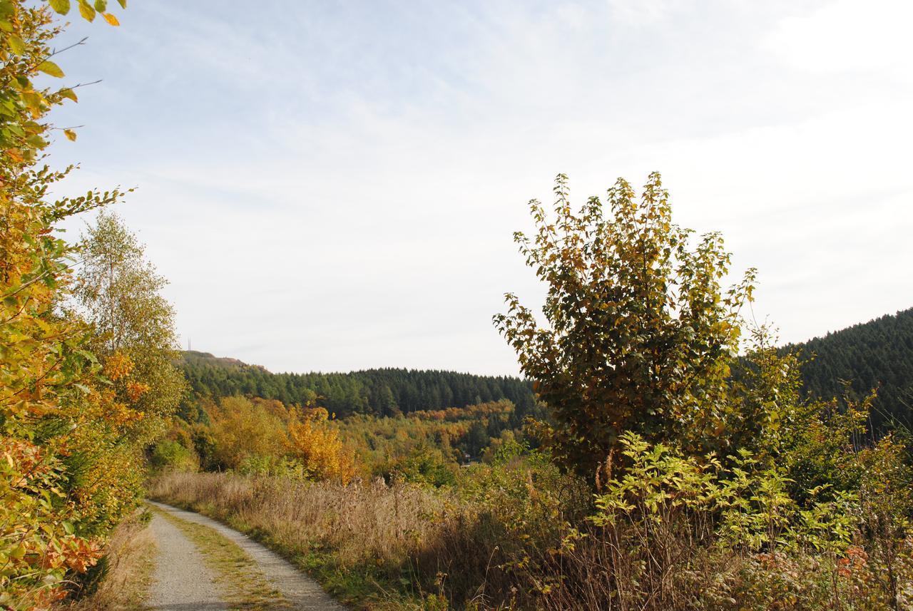 Landgasthof Gruss Brilon Exteriör bild