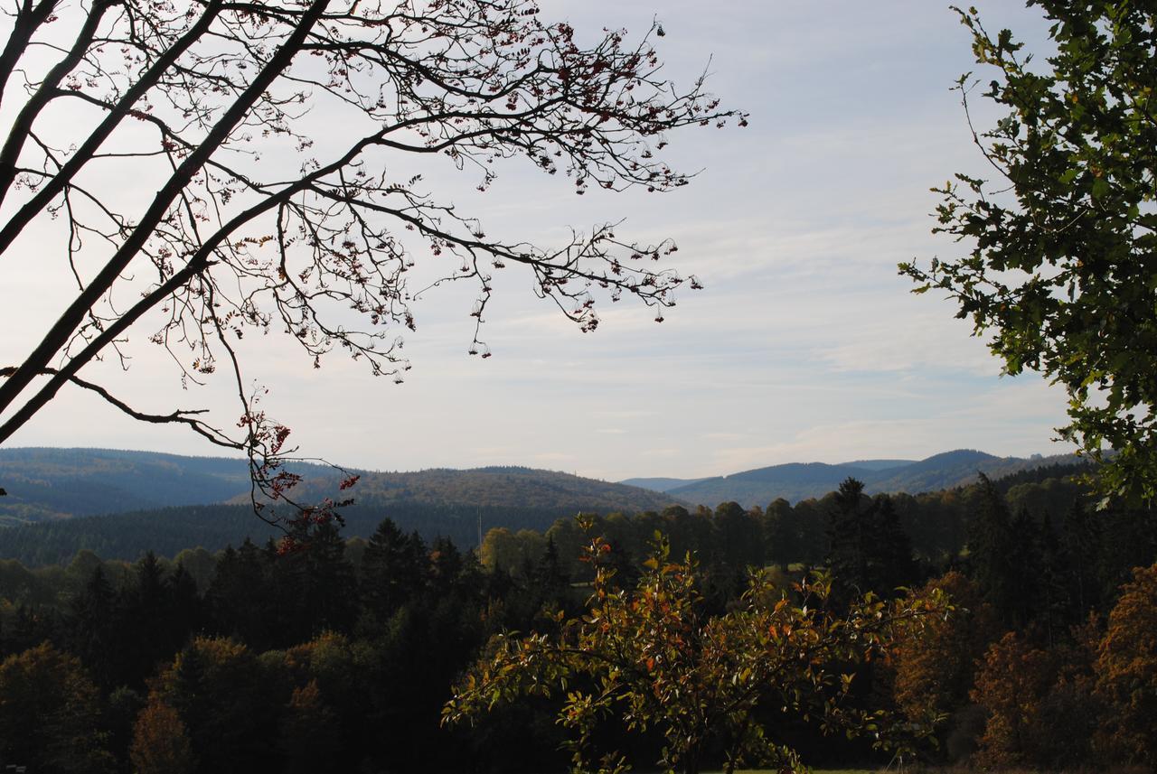 Landgasthof Gruss Brilon Exteriör bild